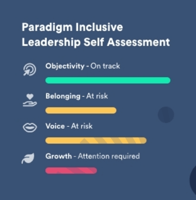 Paradigm product imaging of a self-assessment data focusing on the pillar of objectivity, belonging, voice, and growth